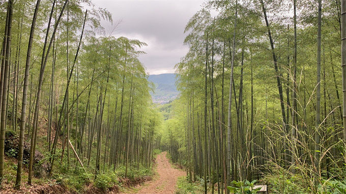 latest company news about Team Travel to Beautiful Countryside of Bamboos  0